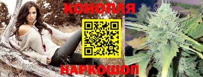 крисы Комсомольск-на-Амуре