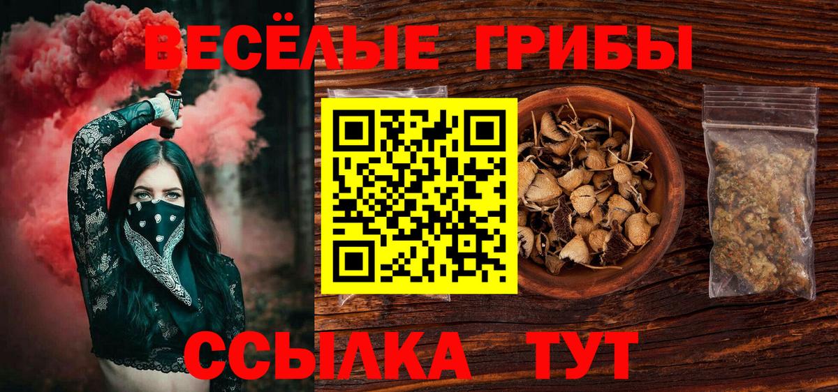 Галлюциногенные грибы прущие грибы  где продают наркотики  Когалым  Вход с VPN 